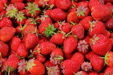 strawberries-528791-1920.jpg